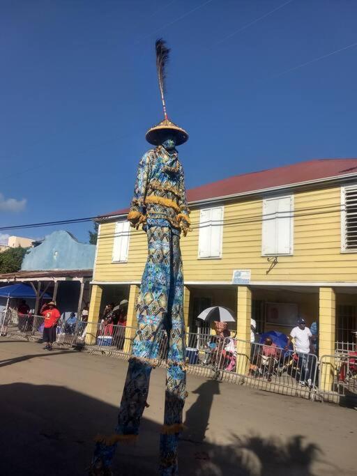 ChristianstedCaribbean Splendor With Million Dollar Views别墅 外观 照片
